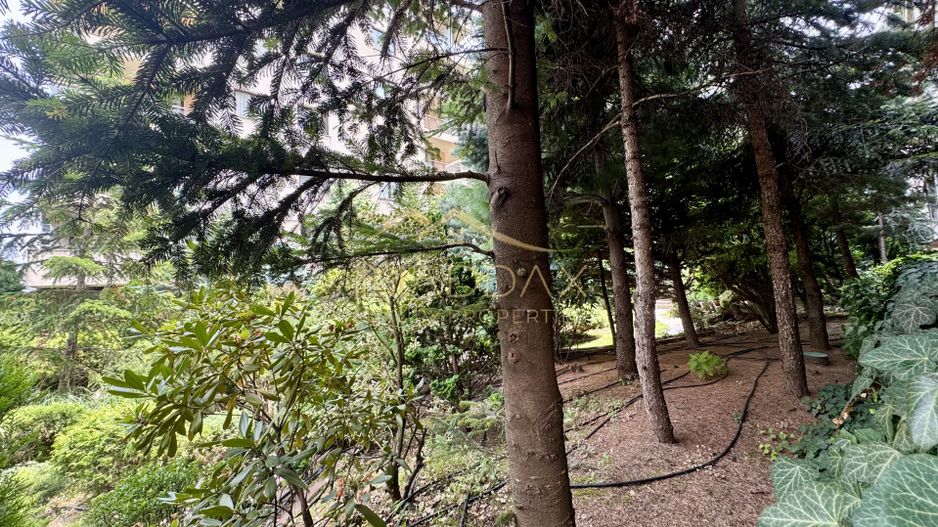 Apartament cu 5 camere parter + Gradina 100mp // Herastrau - Aviatiei - Poză 40