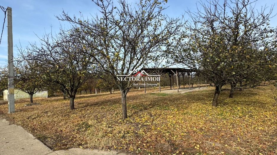 NECTORA IMOB-Teren cu livada matura+Anexa racordata la trifazic,9162mp - Poză 2