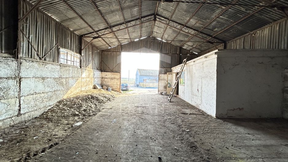 Hala depozitare productie Neptun 536 mp acces TIR - Poză 4
