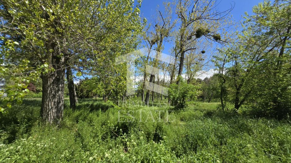 🏖 Teren de vanzare in Neptun – O oportunitate rara de investitie. - Poză 13