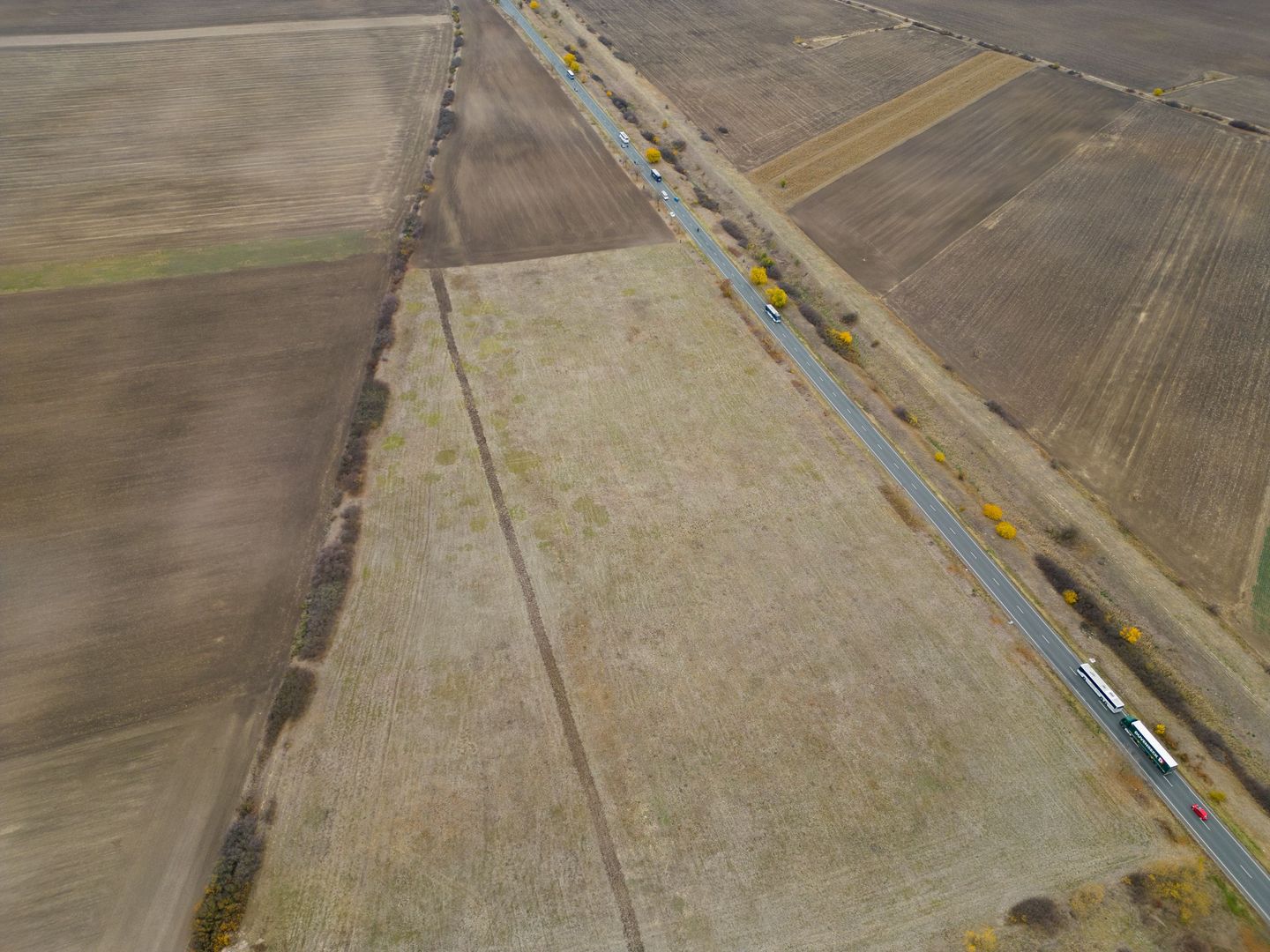 Teren 22.500 mp–Pecica, jud. Arad,Posibilitate PUZ - Poză 8