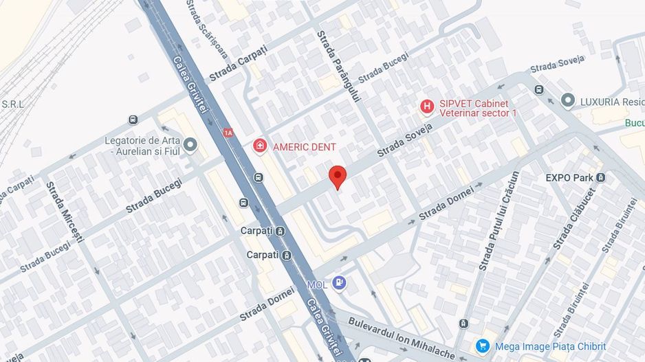 Teren intravilan 800 mp | Domenii- Chibrit | Oportunitate investitie - Poză 1