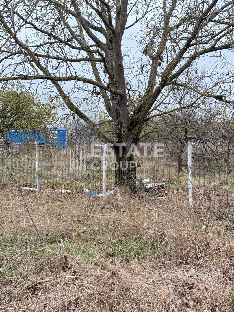 Teren Bucovat, oportunitate de investitie - Poză 3