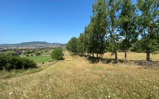 Teren intravilan 2600 mp - pretabil casa/investitie-Zona Aerodrom - Poză 2