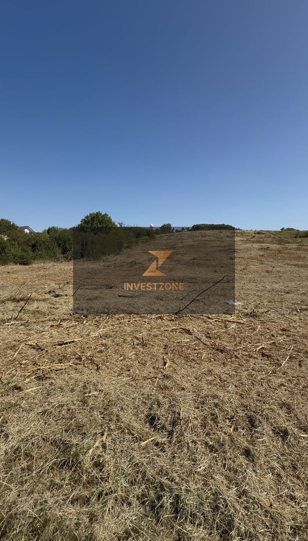 Teren de vanzare, 10.000 mp Oncea aproape de Blue Sky - Poză 1