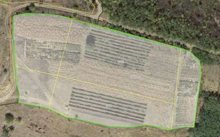 Teren pentru construcții, 120 ari pe malul Nistrului, Doroțcaia - Poză 8