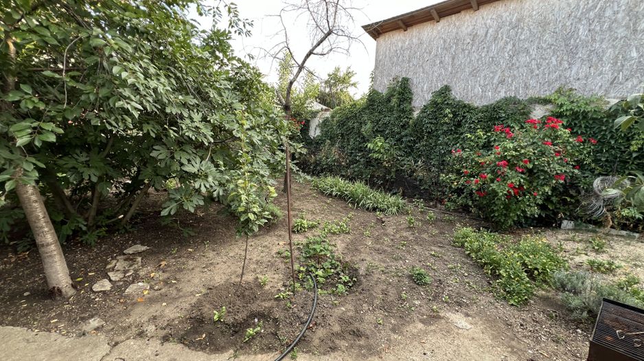 Casa individuala cu teren 386mp in zona Cora Alexandriei - Poză 13