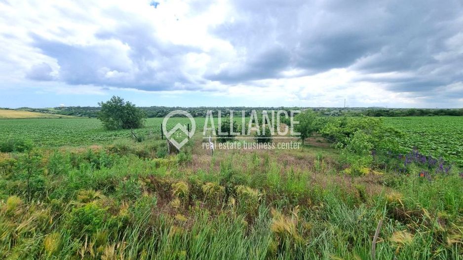 OVIDIU (COD 02)  - teren extravilan 4000 mp - Poză 3