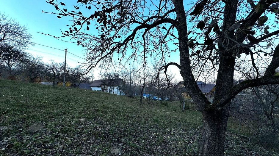 Teren Intravilan cu 2 Deschideri 4000mp Predelut-Bran | GOPO - Poză 6