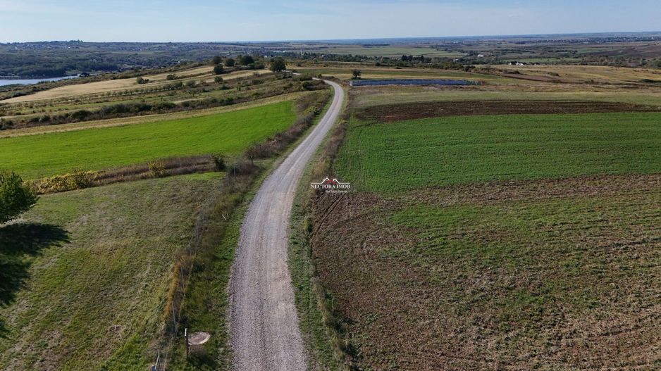 NECTORA IMOB-Teren Saldabagiu de Munte, aproape de Lac Paleu, 2880mp - Poză 7
