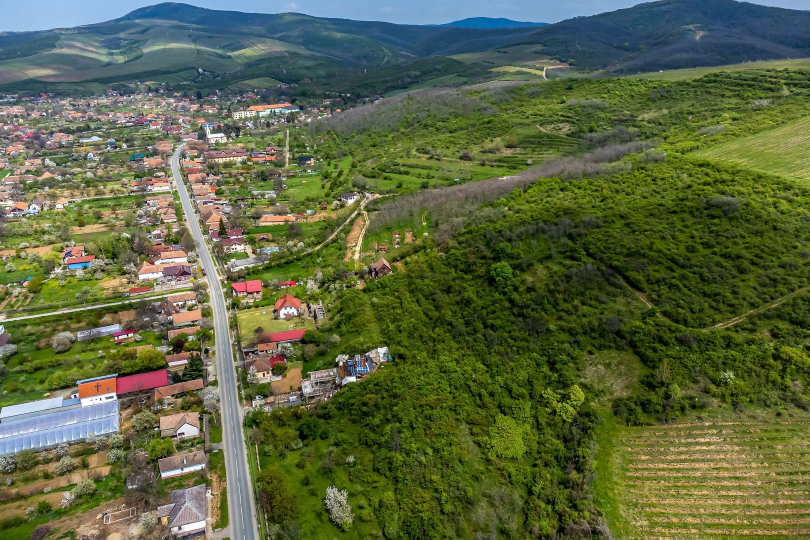 4.300 mp teren pe deal împădurit la Miniș - Poză 7