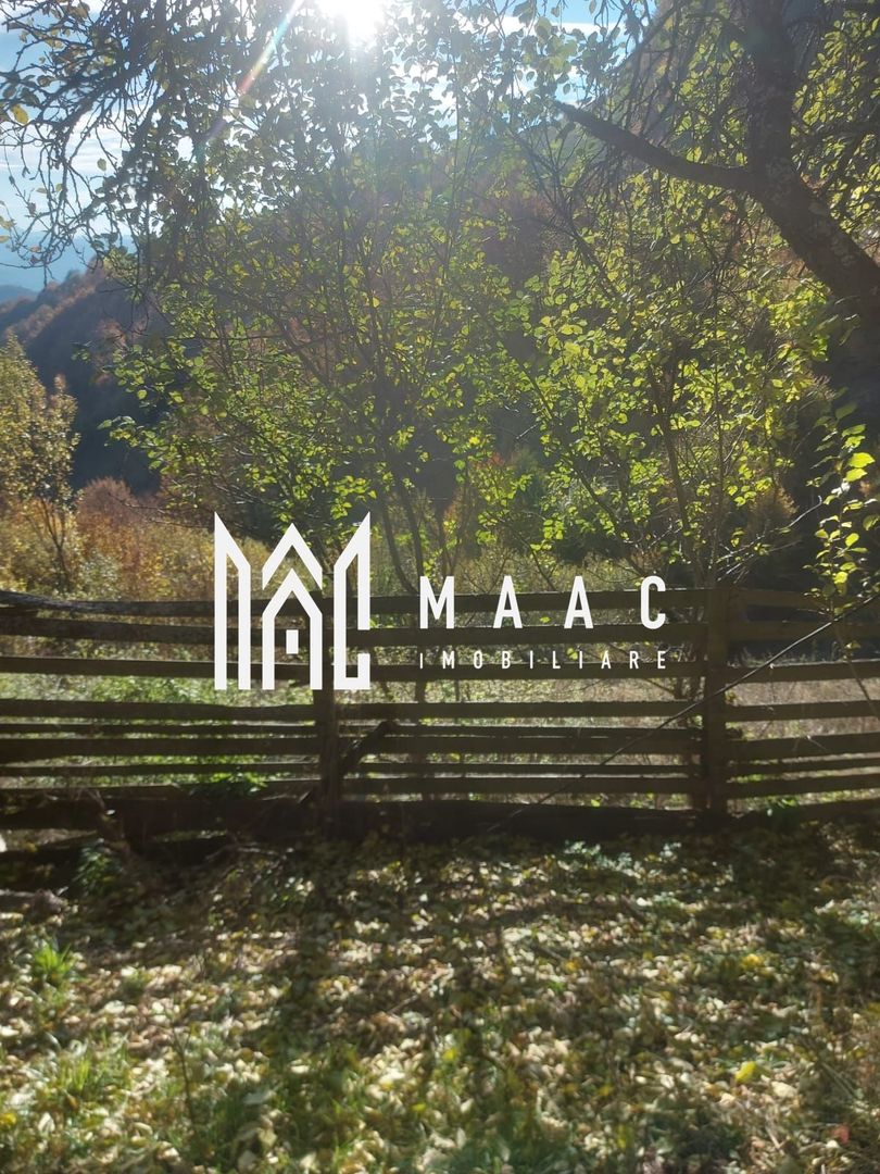 Super ofertă 35000 teren in Muntii Apuseni - Poză 21