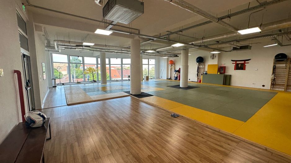 Spatiu de birou cu terasa de 295 mp - Poză 12