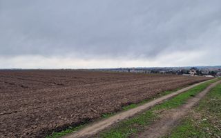 Teren 10,000mp Bacau / Strada Alexandru Safran - Poză 13