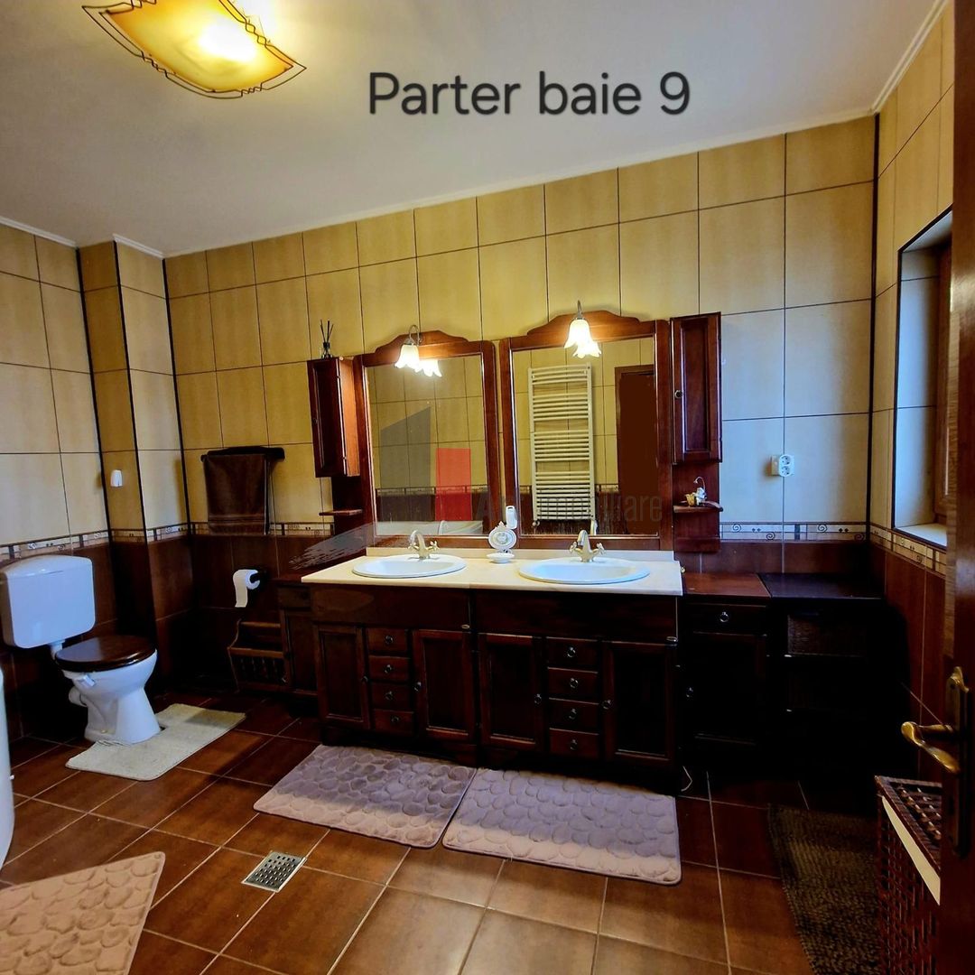 Vila cu gradina impresionanta | Prosumator | Tancabesti - Poză 22