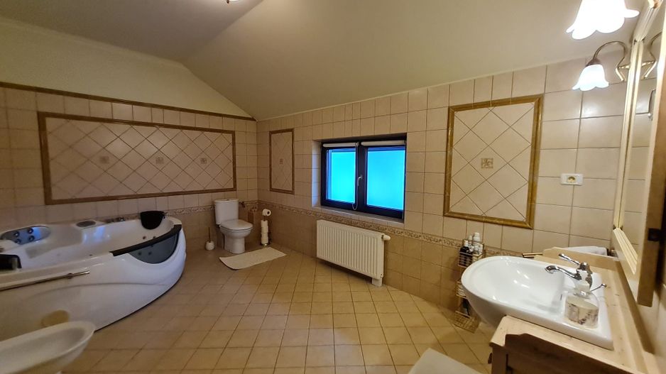 Poziție de top în Dumbravita - Poză 28