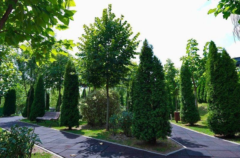 Inchiriere apartament 2 camere  | Complex rezidential | Floreasca| Nord - Poză 11