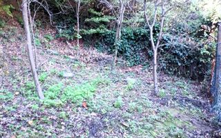 Casă Valea Roșie, Baia Mare - Poză 13