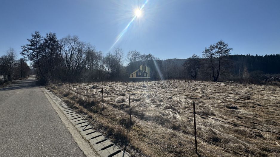 TEREN INTRAVILAN 5000MP, LERESTI, ARGES - Poză 3