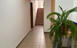 Casa cu mesteacan - DIRECT PROPRIETARI! - spectaculos toamna - Poză 3