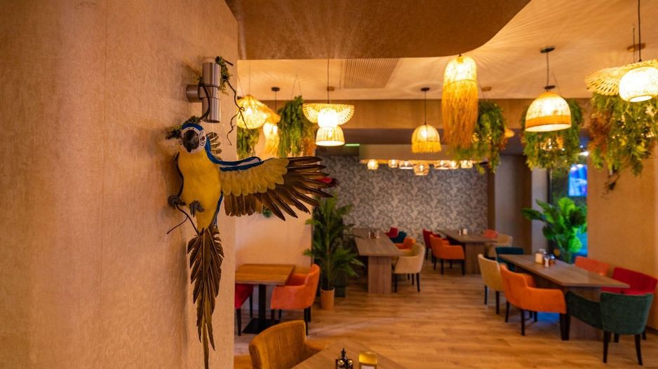 Afacere Cafenea || Restauran Bulevardul Decebal || Piata Alba Iulia || 450 MP - Poză 11