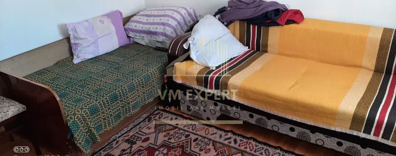 CASA 3 CAMERE, TEREN 5000 MP, RUCAR, ARGES - Poză 5