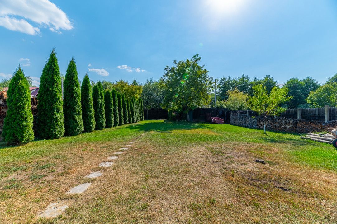 Casa + Pensiune deosebita - Orlat, Sibiu - Poză 61