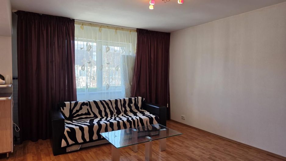 Garsonieră spațioasă Ozana, parcare, centrală proprie, balcon, pet friendly - Poză 4