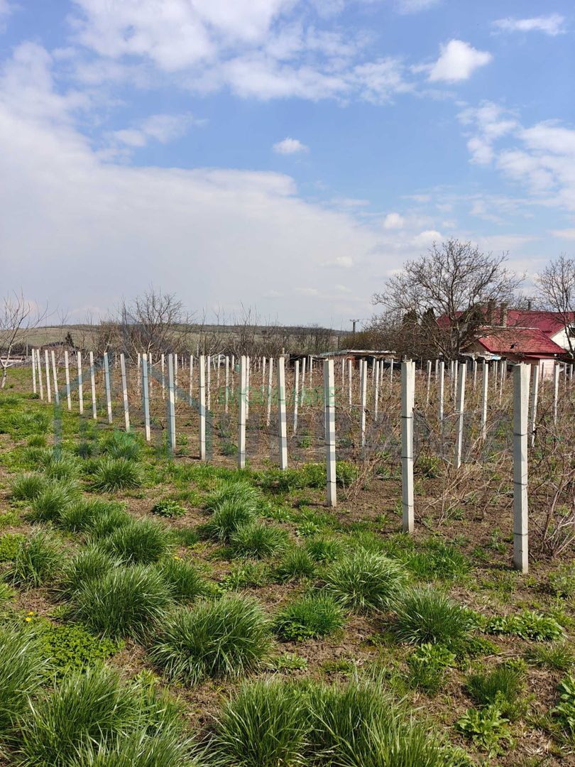 Teren intravilan de 5800 mp, sat Mădârjesti (lângă Sârca) - Poză 3