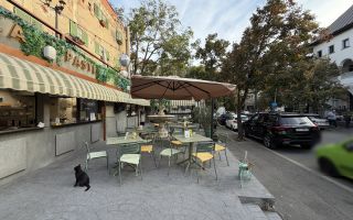 Teren 298 mp + Restaurant // Cotroceni - Poză 2