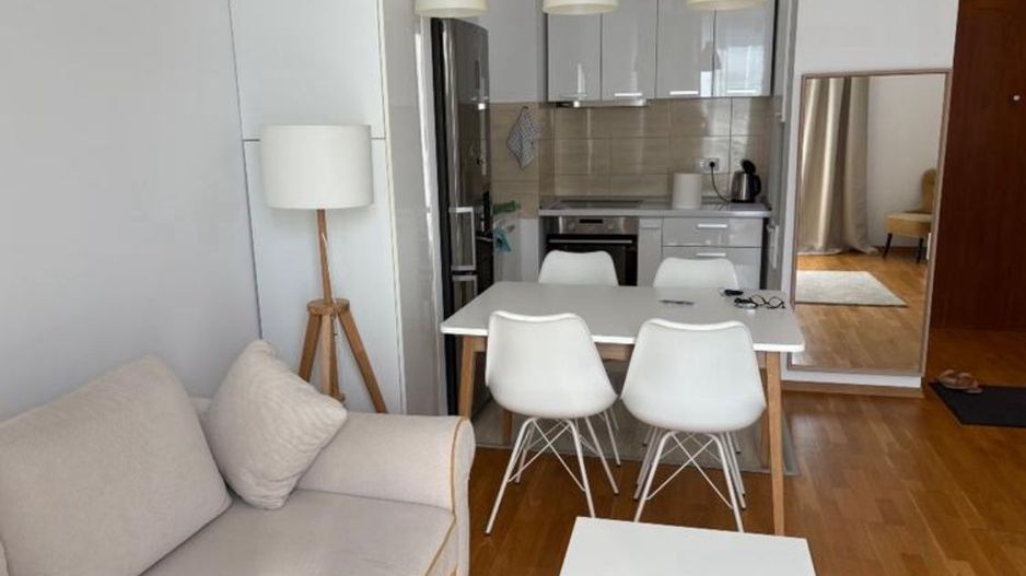 Apartament 2 camere de inchiriat Privighetorilor Iancu Nicolae parcare - Poză 3