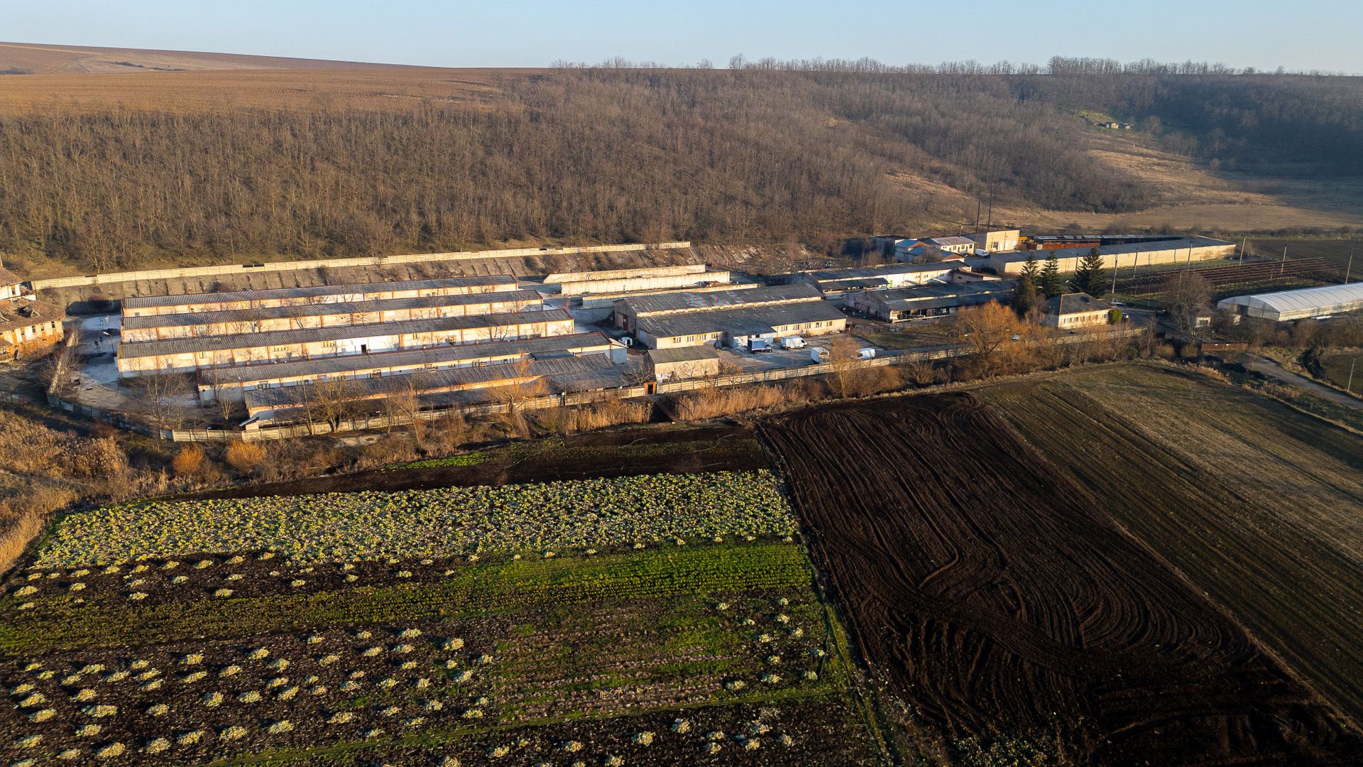 Fosta Ferma a Partidului de la Horgesti - de vanzare - Poză 21