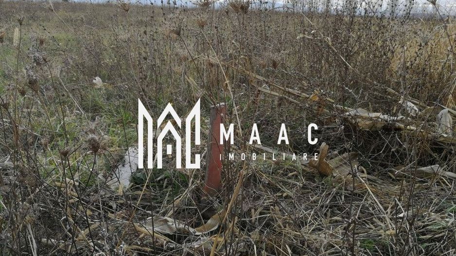 Teren intravilan I Zona Calea Surii Mici- Magnolia - Poză 3