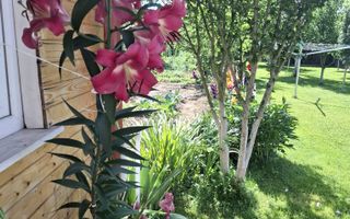 Casa de vanzare in exclusivitate | Avrig - Poză 8