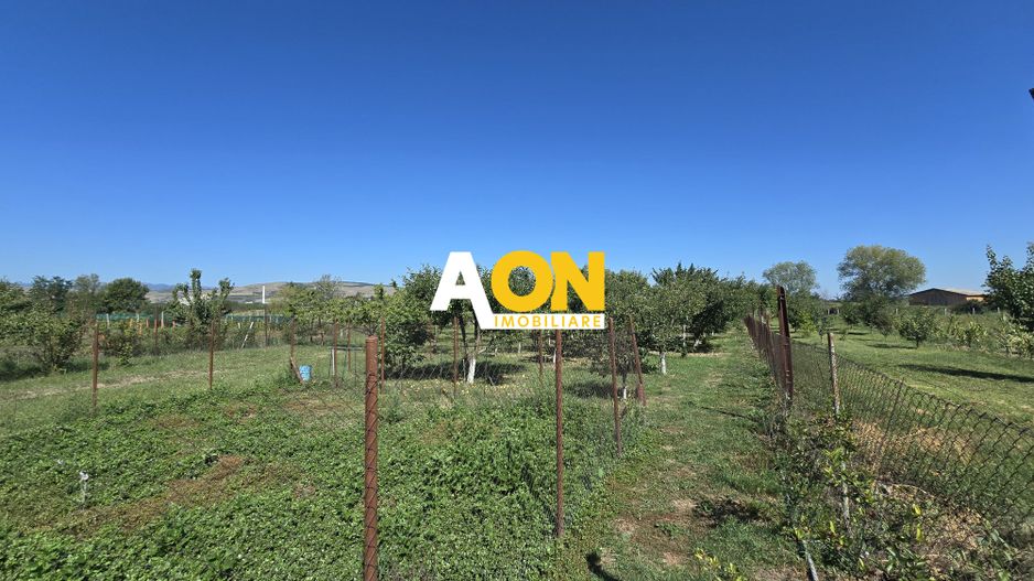 Casa 5 Camere 1700mp Teren, 10km de Alba Iulia - Poză 22