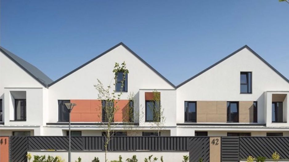 CATTED FAMILY - Poză 3