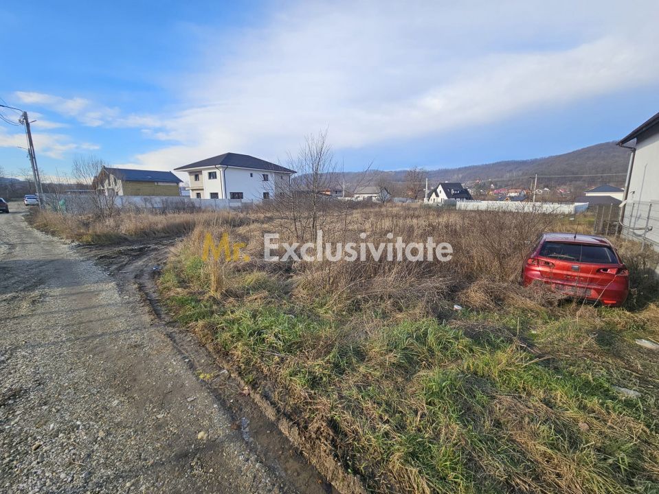 Teren 1.250 mp, toate utilitatile – Bascov, Valea Ursului, AG - Poză 5