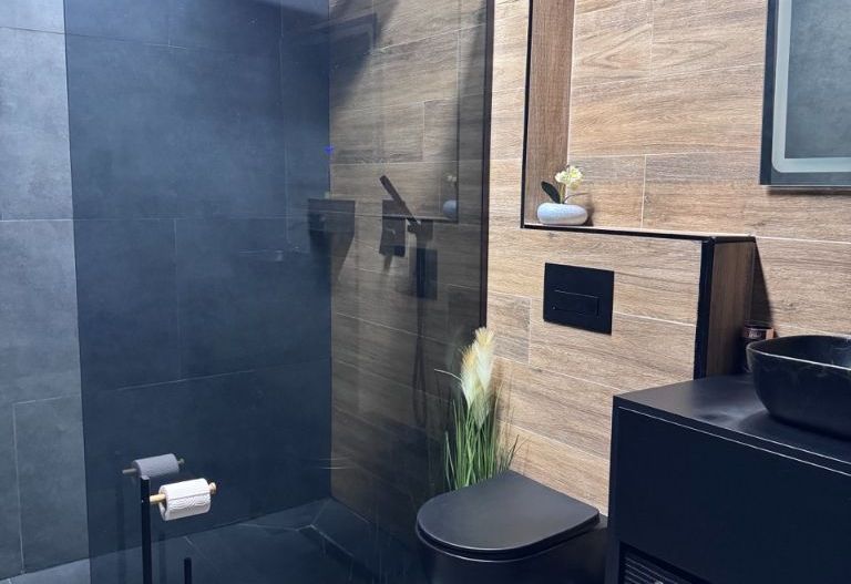 Vila verde cartier Baneasa - Poză 11