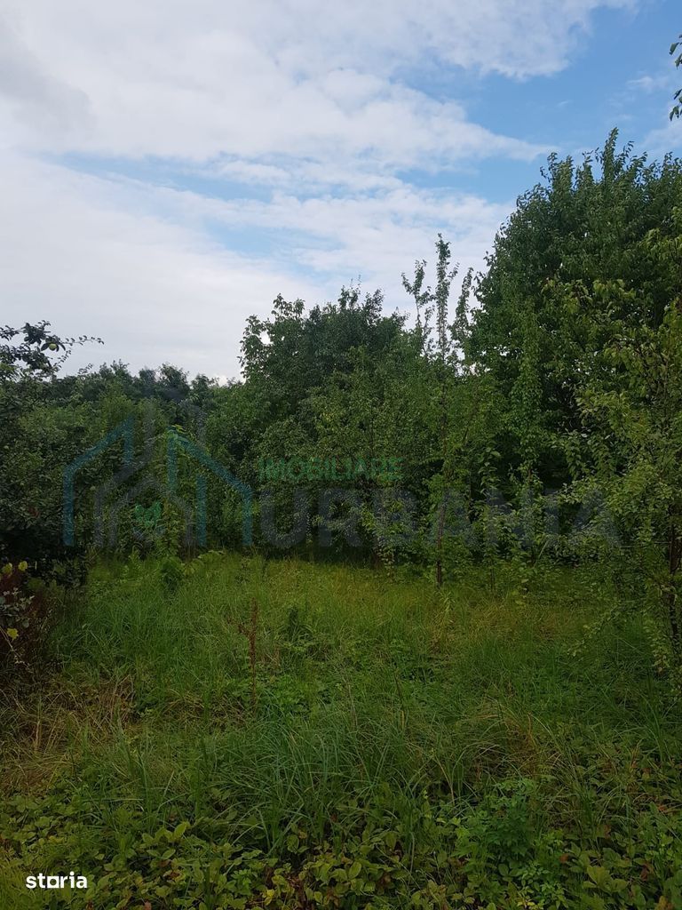 Teren de vânzare în Bucium, 1000mp, acces asfaltat - Poză 1