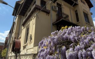 Birou  | Gradina Icoanei | Dacia | Eminescu | Polona - Poză 1