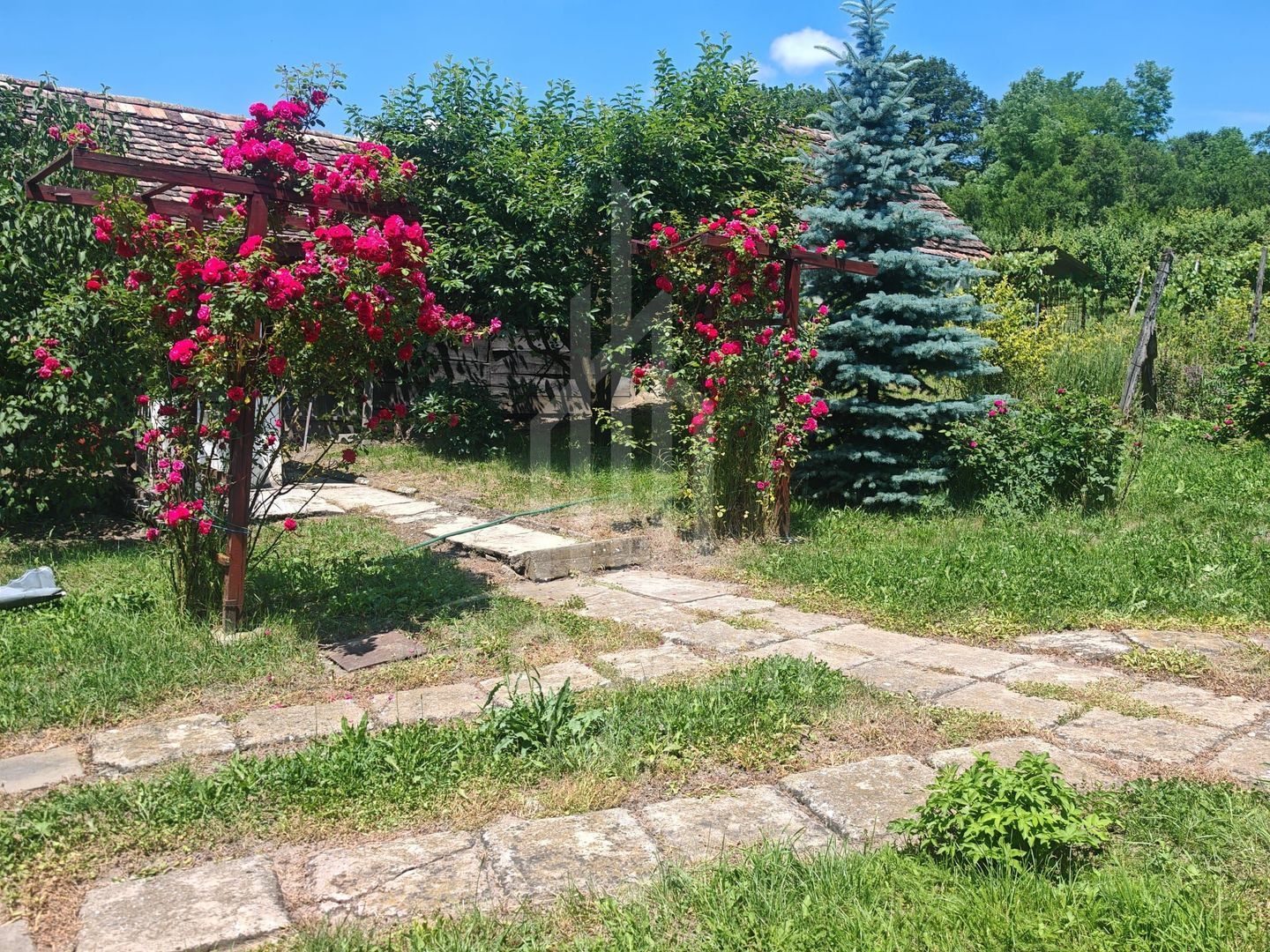 Casă săsească autentică în Bruiu (Sibiu) - Poză 13