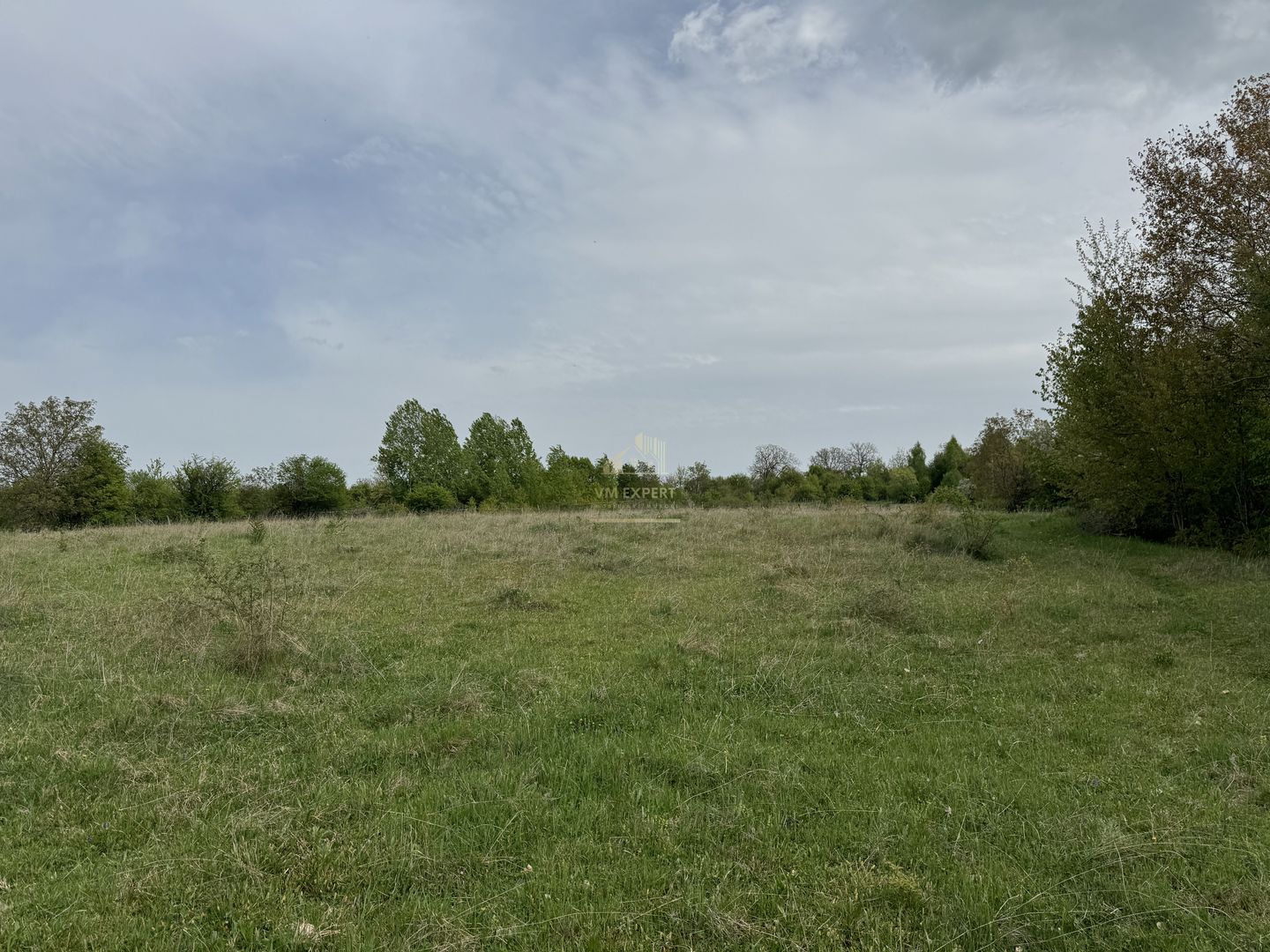 TEREN INTRAVILAN, 7472 MP, VALEA MARE PRAVAT, ARGES - Poză 14