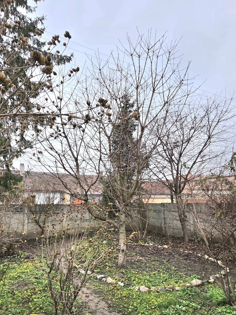 DE VANZARE CASA 5CAMERE ZONA CENTRALA TALMACIU - Poză 37