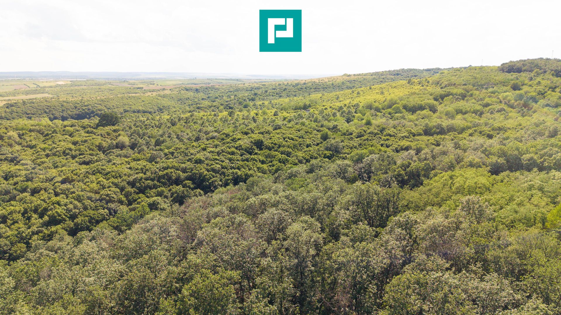 TEREN AGRICOL EXTRAVILAN  22.900 MP LIPOVA - Poză 12