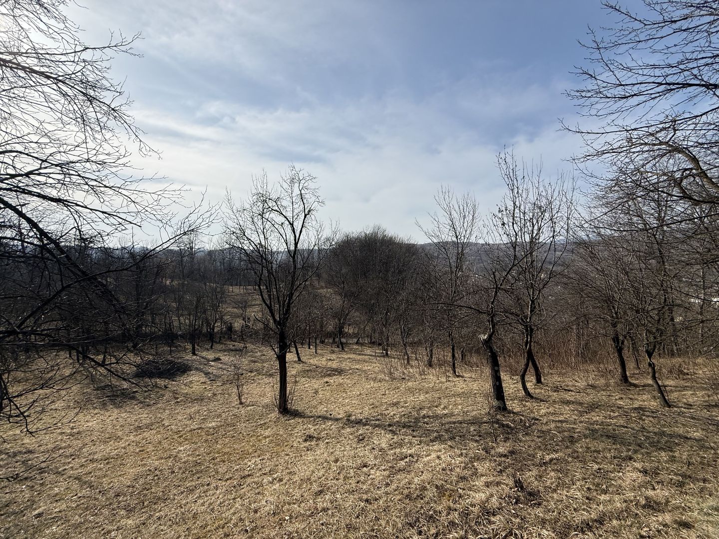 Teren intravilan 2788 mp deschidere 55 ml cu vedere panoramica ! - Poză 14