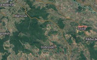 Casă de vânzare în localitatea Cozia, județul Iași - Poză 2