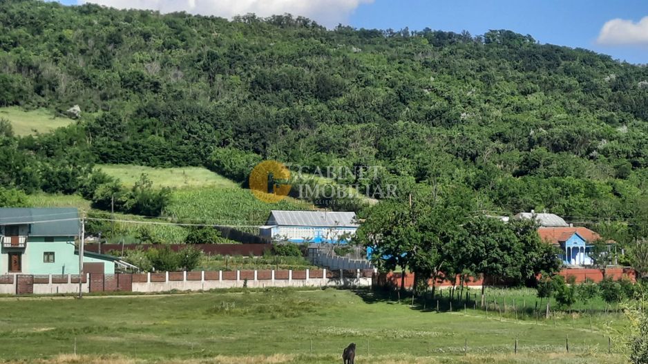 Casă / Vilă cu 2 camere de vânzare în Totoesti - Poză 1