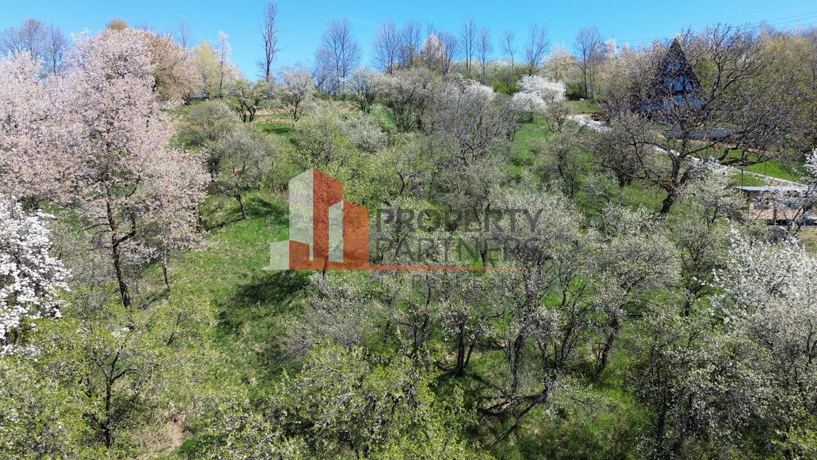 Teren 2500 mp Sohodol - Poză 8