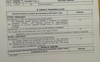Teren agricol extravilan ,Șelimbăr , 400 mp ,oportunitate investitie - Poză 3