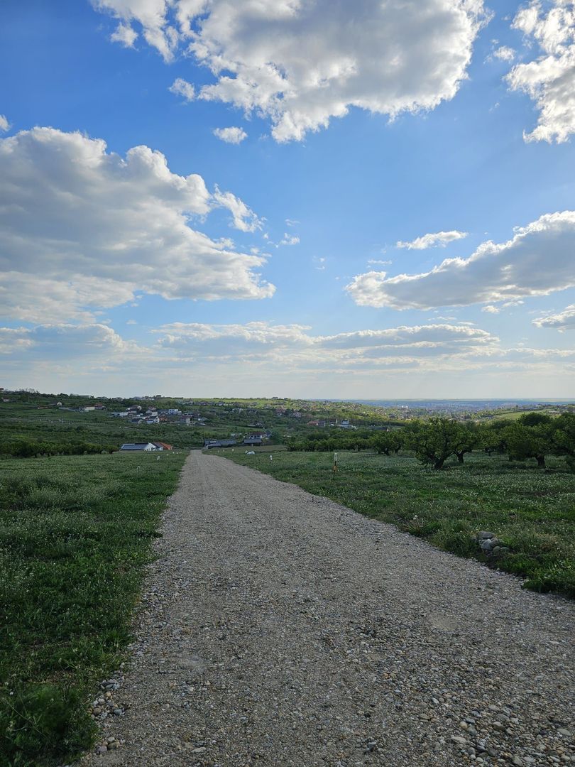 Parcele cu Puz si utilitati Saldabagiu de Munte - Poză 1
